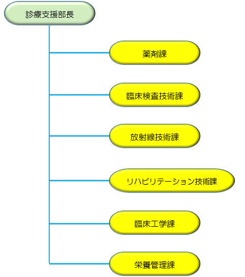 診療支援部長の下に、薬剤科、臨床検査技術課、放射線技術課、リハビリテーション技術課、臨床工学課、栄養管理課があります。