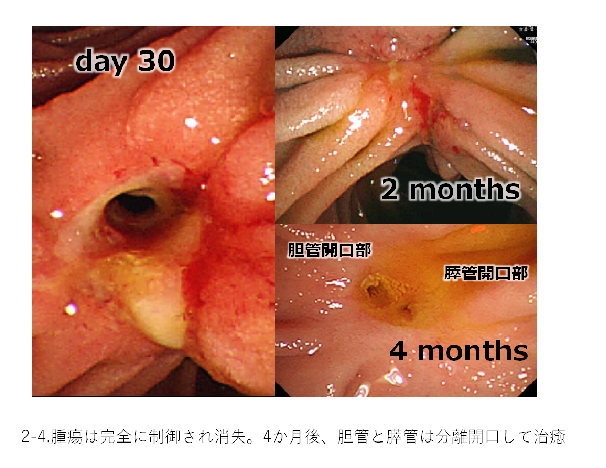 消化器内科⑥.png