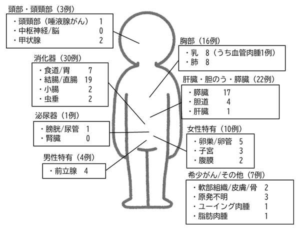 がん遺伝子パネル検査.png