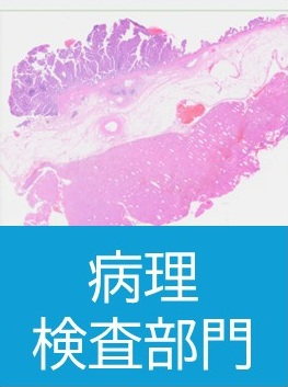 病理検査.jpg