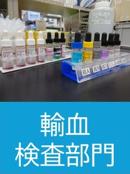 輸血検査.jpg