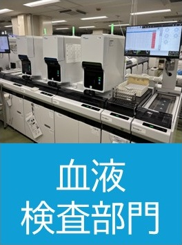 血液検査.jpg