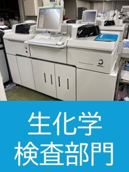 生化学検査.jpg