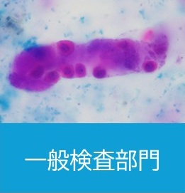 一般検査部門.jpg