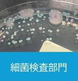 細菌検査部門.jpg