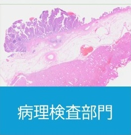 病理検査部門.jpg