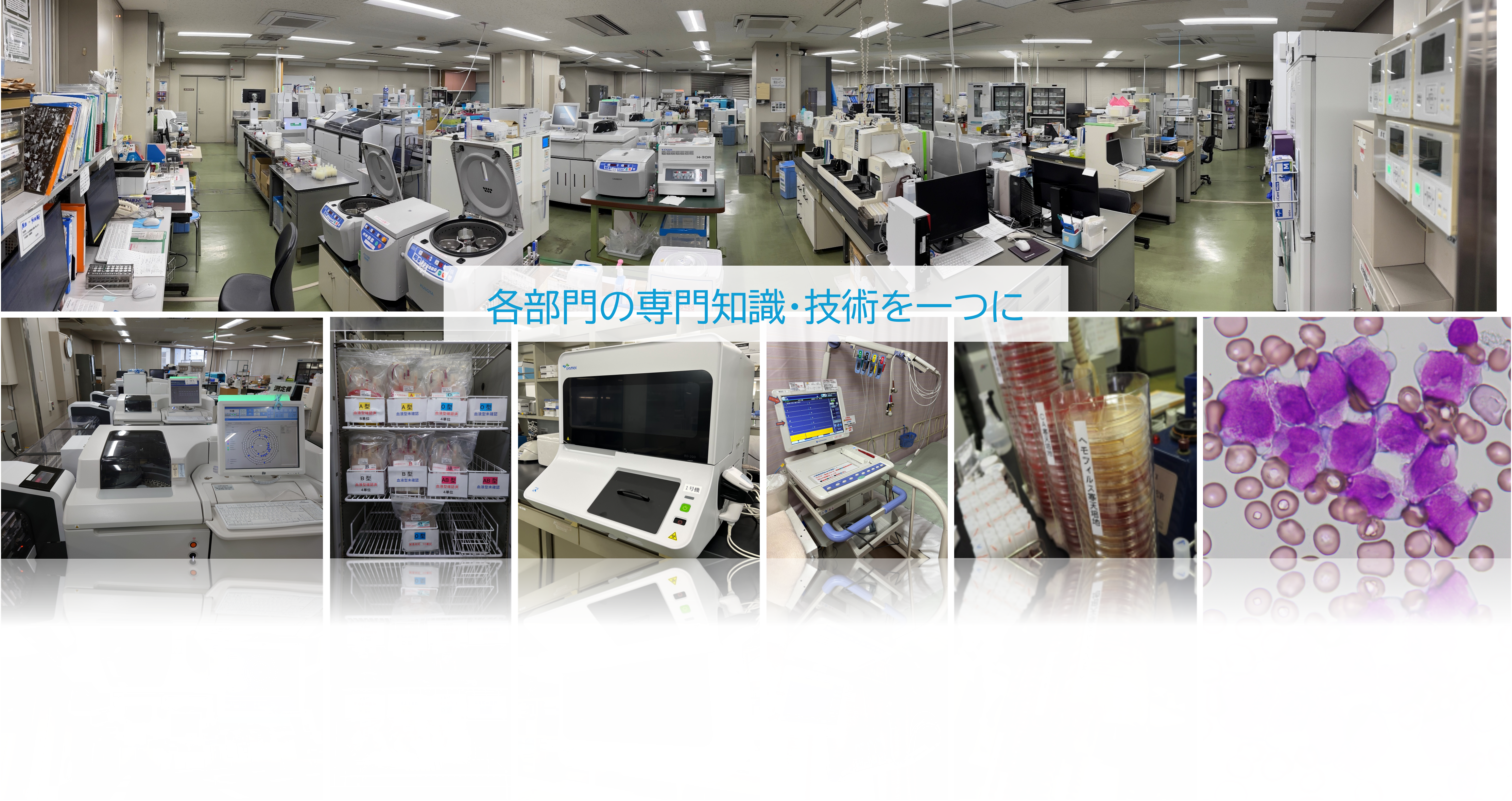 画像1.png